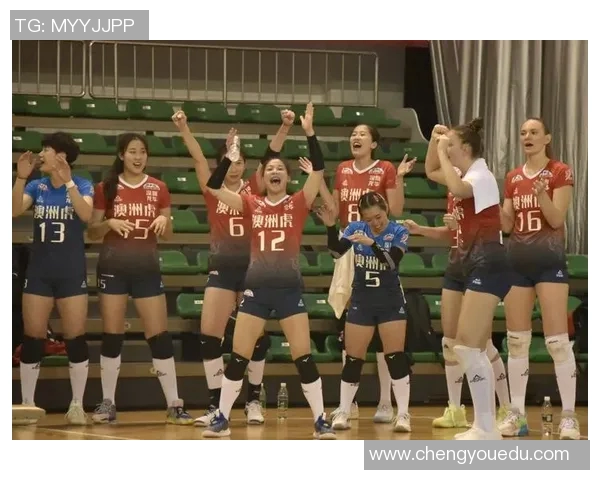 深圳排球队在排球比赛中创下新高经验排名再创新纪录